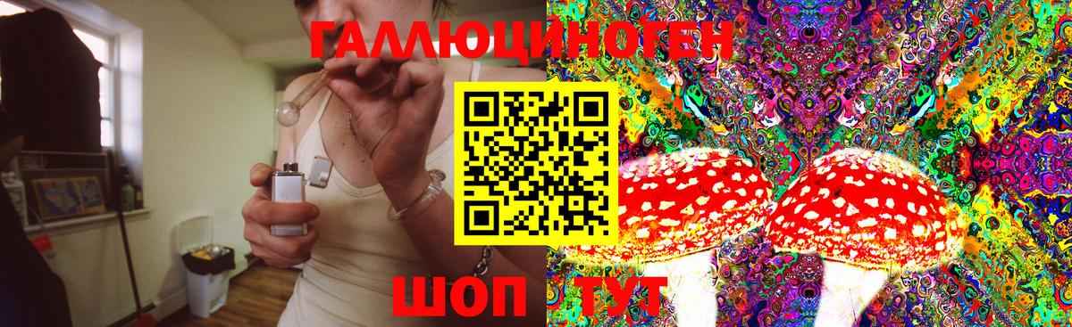 Псилоцибиновые грибы Cubensis Владивосток